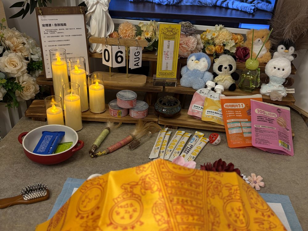 宠物告别仪式现场布置